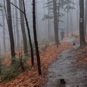 Wieża widokowa Ferdel - wieza widokowa na ferdlu3