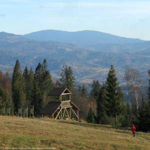 Wieża widokowa na Rachowcu - malowniczo polozona wieza widokowa na rachowcu