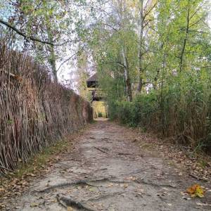 Wieża widokowa "Perehod" i schron ornitologiczny - wieza widokowa perehod 1