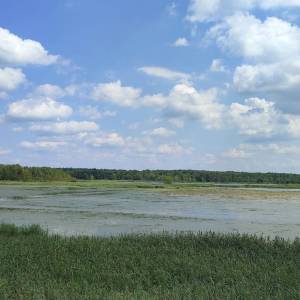 Wieża widokowa "Perehod" i schron ornitologiczny - wieza widokowa perehod 2