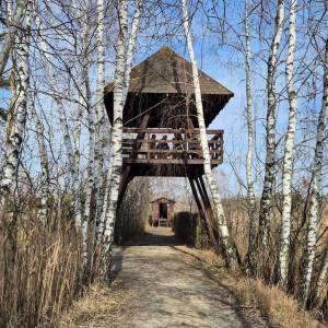 Wieża widokowa "Perehod" i schron ornitologiczny - wieza widokowa perehod 3
