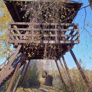 Wieża widokowa "Perehod" i schron ornitologiczny - wieza widokowa perehod 5