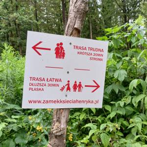 Zamek Księcia Henryka na Górze Grodna - drogowskaz na rozwidleniu szlaku do zamku henryka