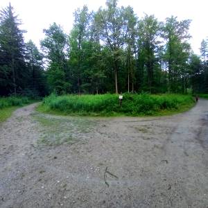 Zamek Księcia Henryka na Górze Grodna - rozwidlenie na szlaku do zamku henryka 1