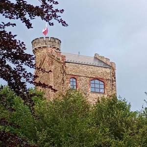 Zamek Księcia Henryka na Górze Grodna - zamek ksiecia henryka w marczycac 52