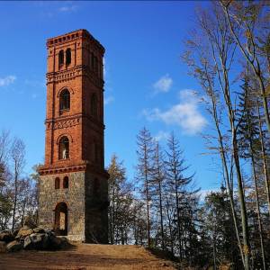 Wieża widokowa w Maciejowej - wieza widokowa w maciejowej 1