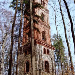 Wieża widokowa w Maciejowej - wieza widokowa w maciejowej 6