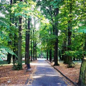 Park Miejski w Prudniku - park miejski w prudniku 1