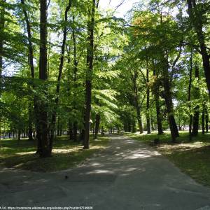 Park Miejski w Prudniku - park miejski w prudniku 4