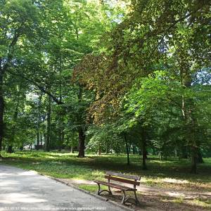 Park Miejski w Prudniku - park miejski w prudniku 5