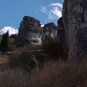 Skała Krótka Grzęda w Mirowie - skala krotka grzeda w mirowie 1