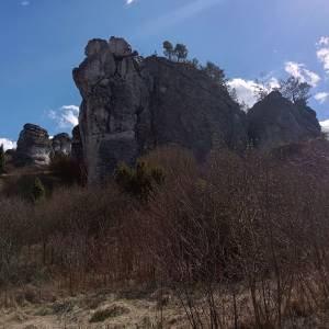 Skała Krótka Grzęda w Mirowie - skala krotka grzeda w mirowie 2