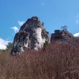 Skała Mniszek w Mirowie - skala mniszek w mirowie 2