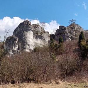 Skała Szeroka Baszta w Mirowie - skala szeroka baszta w mirowie 2