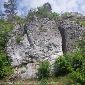 Skała Fircyk (Ryczów) - straszykowe skaly dk12 3