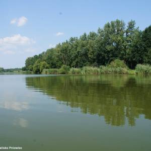 Kąpielisko Pniowiec w Rybniku - kapielisko pniowiec w rybniku 5