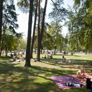 Ośrodek Wypoczynkowy Paprocany w Tychach - osrodek wypoczynkowy paprocany w tychach 4