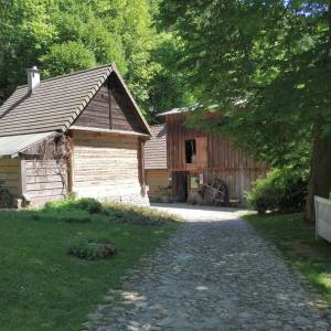 Boroniówka osada młynarska - boroniowka osada mlynarska3