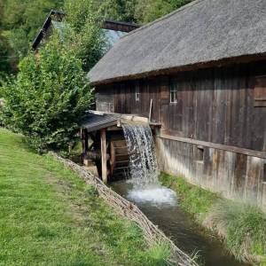 Boroniówka osada młynarska - boroniowka osada mlynarska4