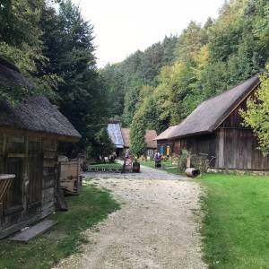 Boroniówka osada młynarska - boroniowka osada mlynarska7