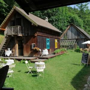 Boroniówka osada młynarska - boroniowka osada mlynarska8jpg