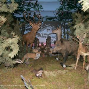 Muzeum Słowińskiego Parku Narodowego w Czołpinie - smoldzino museum collections 07