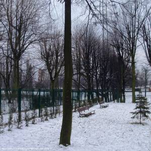 Park Załęski w Katowicach - katowice park zaleski 2