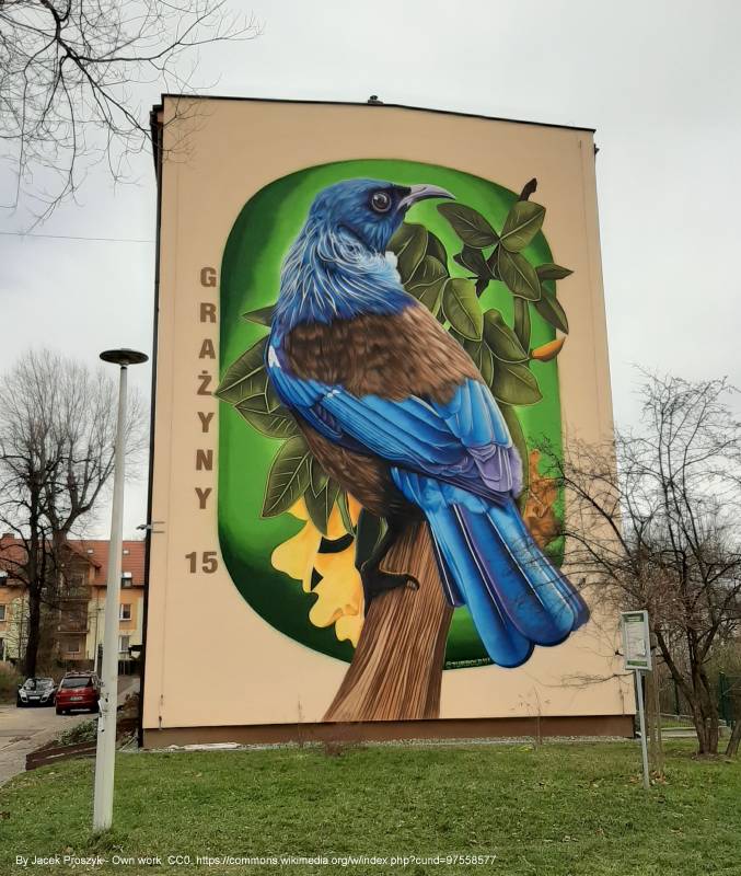 Mural "Kędziornik " w Bielsku-Białej - mural prosthemadera novaeseelandiae bielsko biala 01