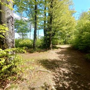 Orłowa (813 m n.p.m.) - orlowa 813 m n p m 1