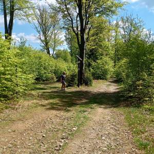 Orłowa (813 m n.p.m.) - orlowa 813 m n p m 17
