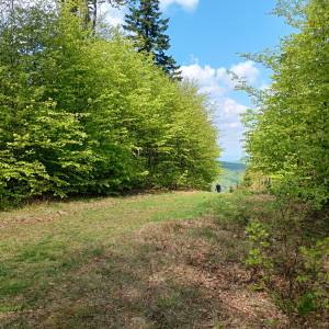 Orłowa (813 m n.p.m.) - orlowa 813 m n p m 8