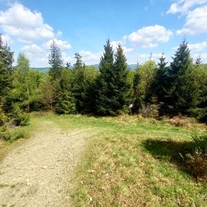 Bunkier "W Grapach" na Orłowej - bunkier w grapach na orlowej 1