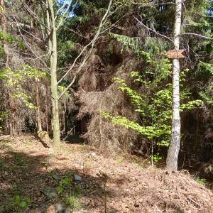 Bunkier "W Grapach" na Orłowej - bunkier w grapach na orlowej 19