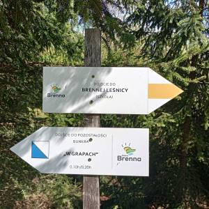 Bunkier "W Grapach" na Orłowej - bunkier w grapach na orlowej 2
