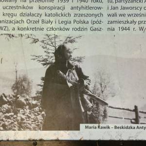 Bunkier "W Grapach" na Orłowej - bunkier w grapach na orlowej 30