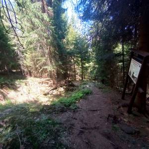 Bunkier "W Grapach" na Orłowej - bunkier w grapach na orlowej 36