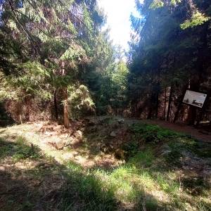 Bunkier "W Grapach" na Orłowej - bunkier w grapach na orlowej 39