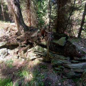 Bunkier "W Grapach" na Orłowej - bunkier w grapach na orlowej 46