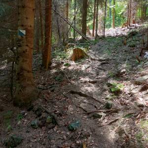 Bunkier "W Grapach" na Orłowej - bunkier w grapach na orlowej 67