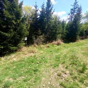 Bunkier "W Grapach" na Orłowej - bunkier w grapach na orlowej 8