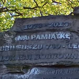 Pomnik z okazji 740. rocznicy lokacji Bobrownik - pomnik z okazji 740 rocznicy lokacji bobrownik 6