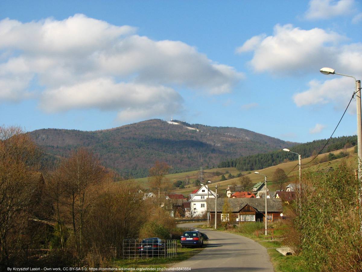 Jaworzyna Krynicka (1114 m n.p.m.) - pol jaworzyna krynicka jastrzebik