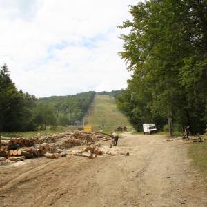 Jaworzyna Krynicka (1114 m n.p.m.) - logging jaworzyna 01