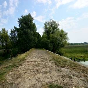 Stary most kolejowy w Świerklańcu - stary most kolejowy w swierklancu 8
