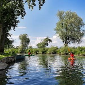 Spłwy kajakowy rzeką Sapiną (Jezioro Kruklin - Kruklanki) - canoeing 2149703 1920