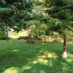 Dąb i świerk papieski w Wiśle - dab i swierk papieski w wisle 1