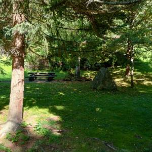 Dąb i świerk papieski w Wiśle - dab i swierk papieski w wisle 2