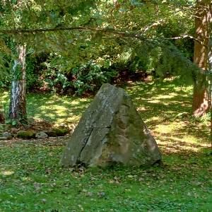 Dąb i świerk papieski w Wiśle - dab i swierk papieski w wisle 3