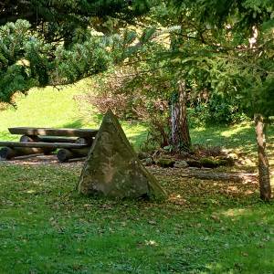 Dąb i świerk papieski w Wiśle - dab i swierk papieski w wisle 4