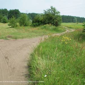 Rogaliński Park Krajobrazowy - rogalinski park krajobrazowy na wsch od mosiny 2